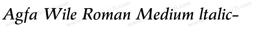 Agfa Wile Roman Medium ltalic字体转换